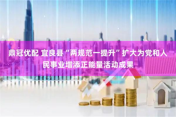 鼎冠优配 宜良县“两规范一提升”扩大为党和人民事业增添正能量活动成果