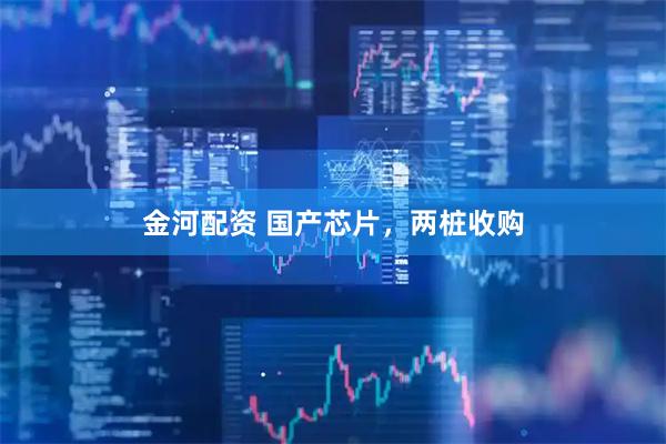 金河配资 国产芯片，两桩收购