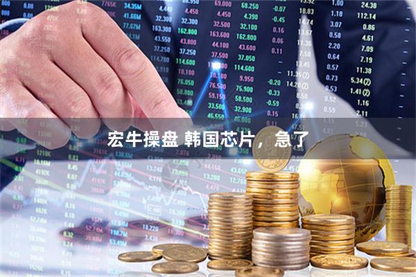 宏牛操盘 韩国芯片，急了