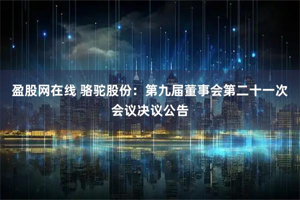盈股网在线 骆驼股份：第九届董事会第二十一次会议决议公告