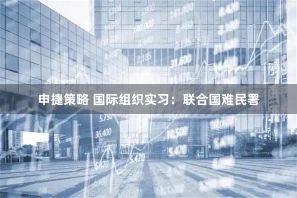 申捷策略 国际组织实习:联合国难民署